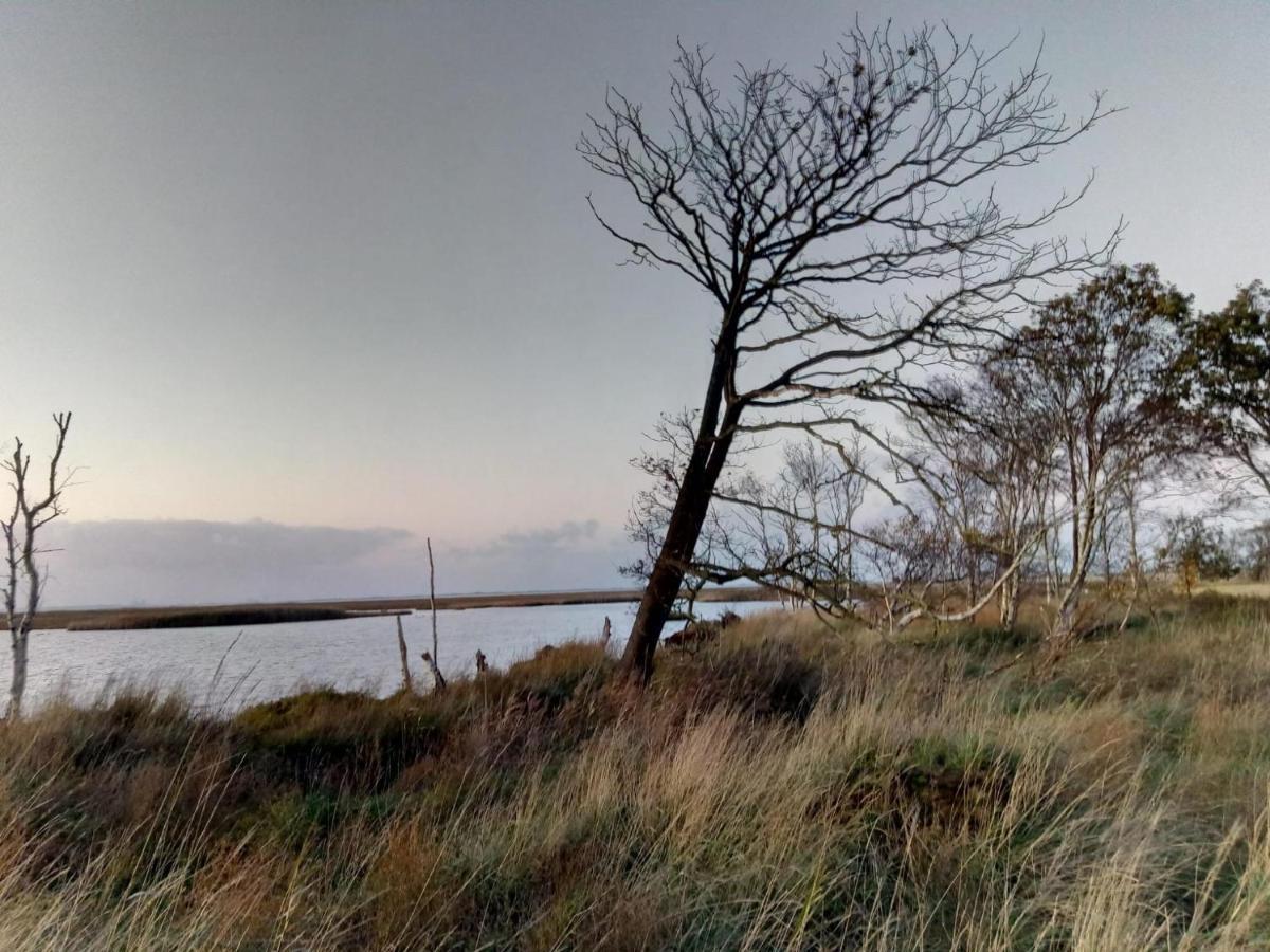 Haus Meererleben - Urlaub Mit Hund An Der Nordsee Schweiburg Buitenkant foto